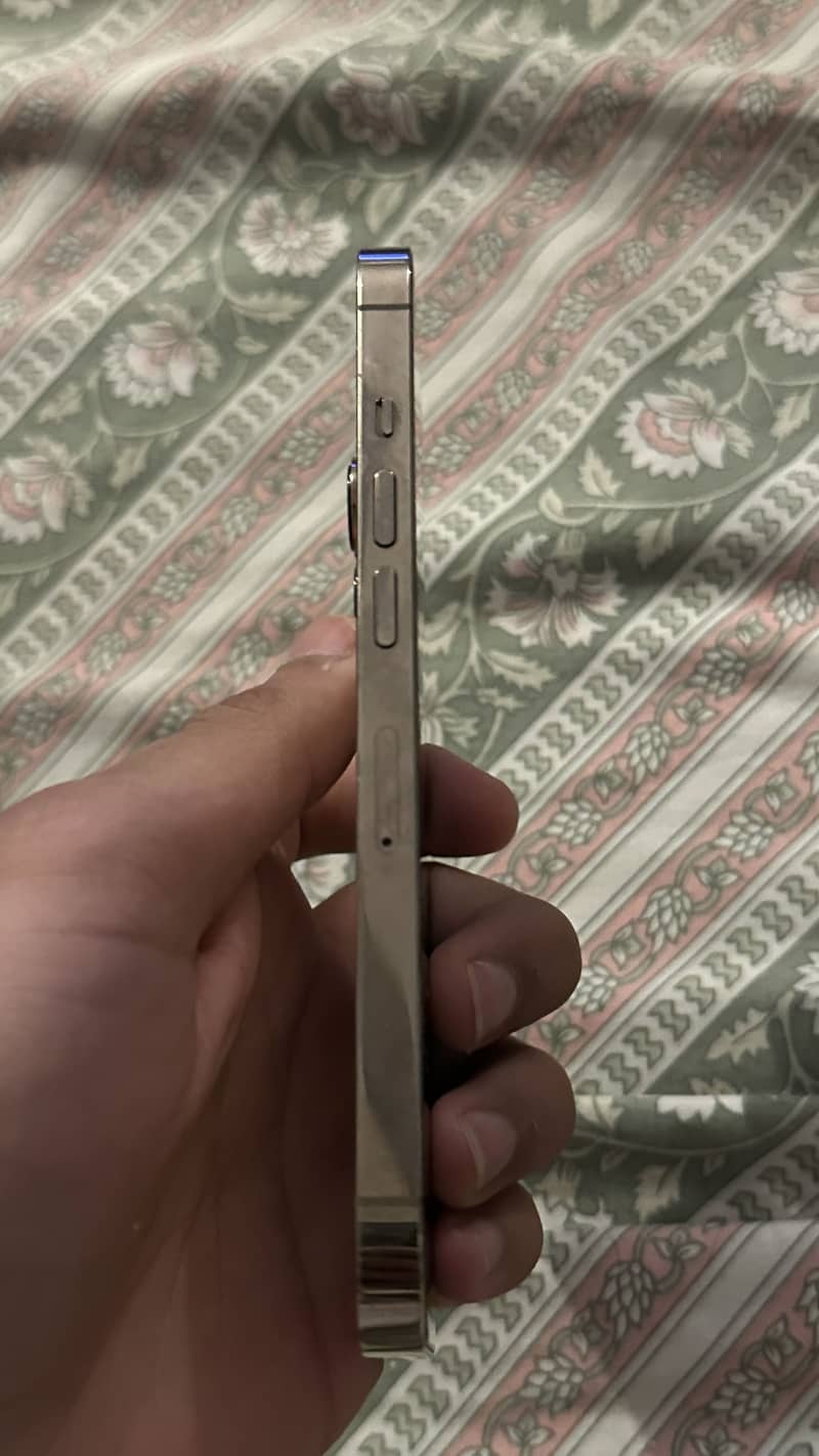 Apple iPhone 13 Pro 0