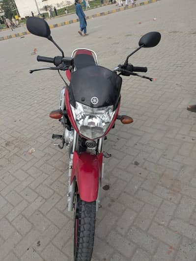 Yamaha YBR 125 (2019)