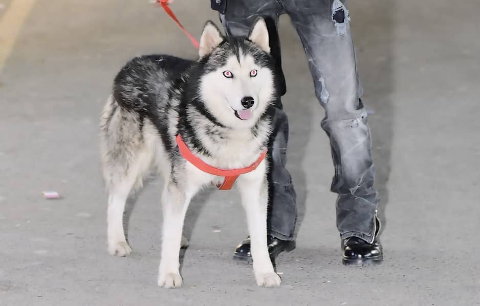 Any need 0