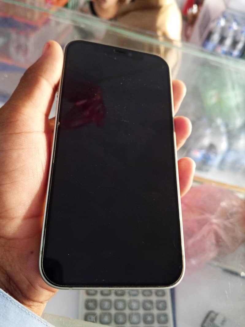 Apple iPhone 12 1