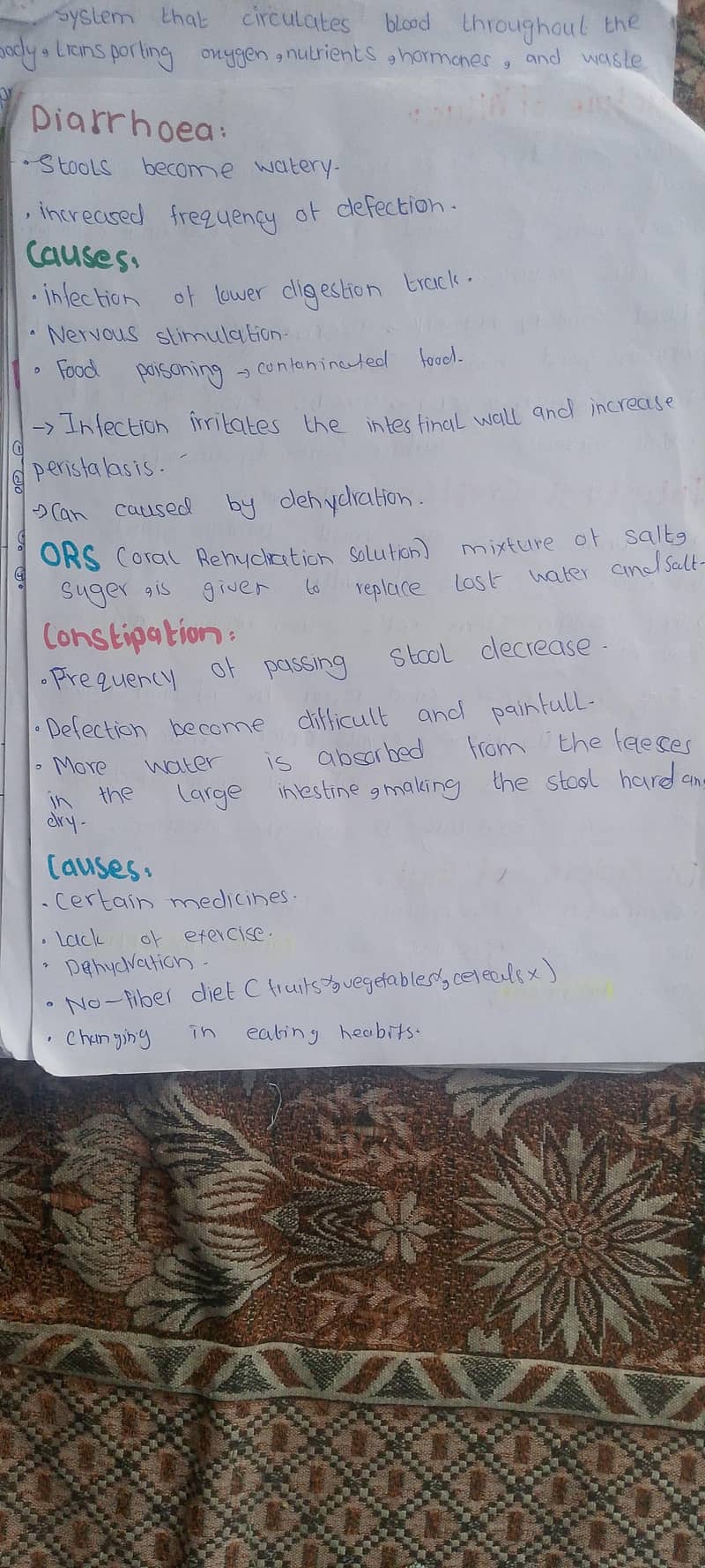 content writer  2