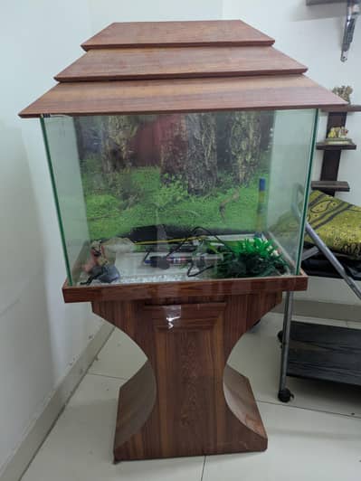 FISH TANK