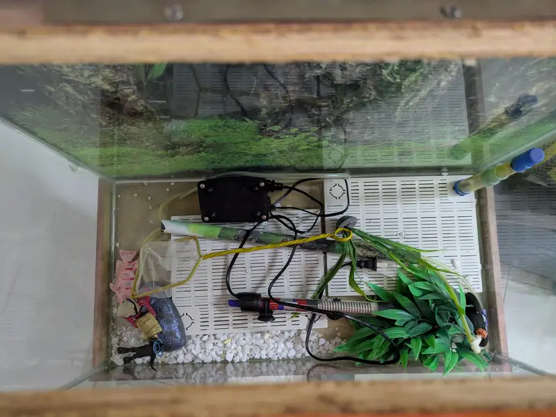 FISH TANK — photo 2