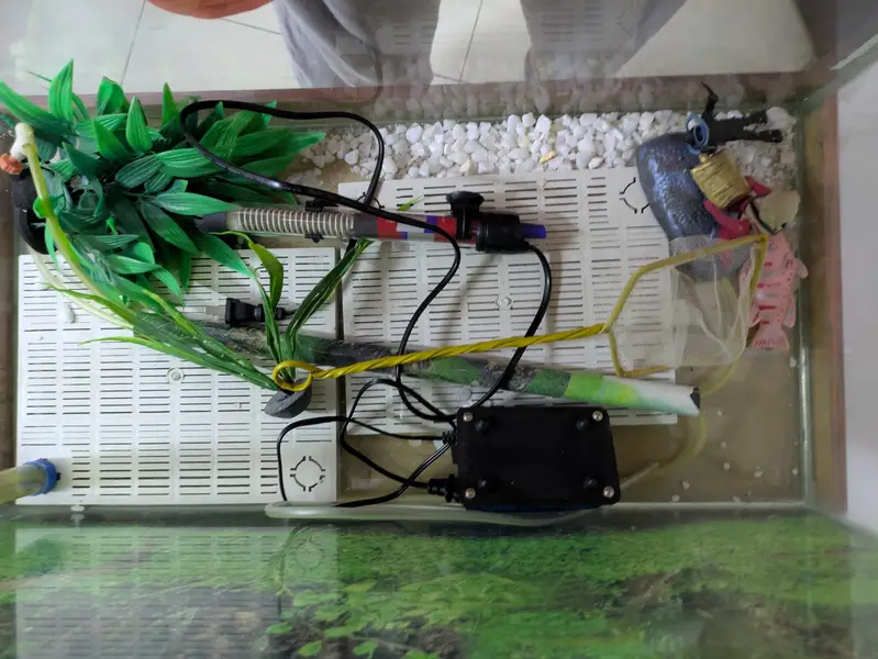 FISH TANK — photo 3