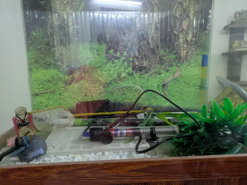 FISH TANK — photo 5