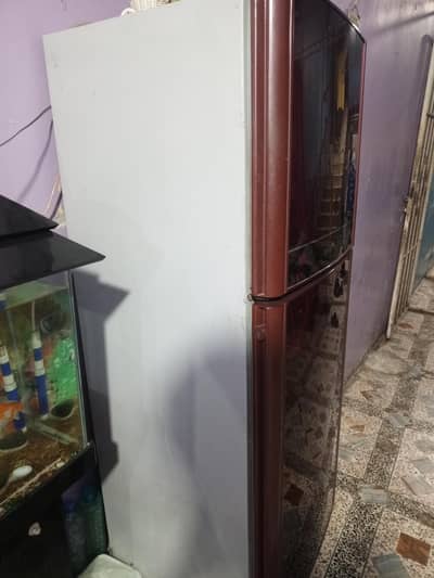 orient refrigerator