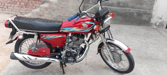 motar bayc