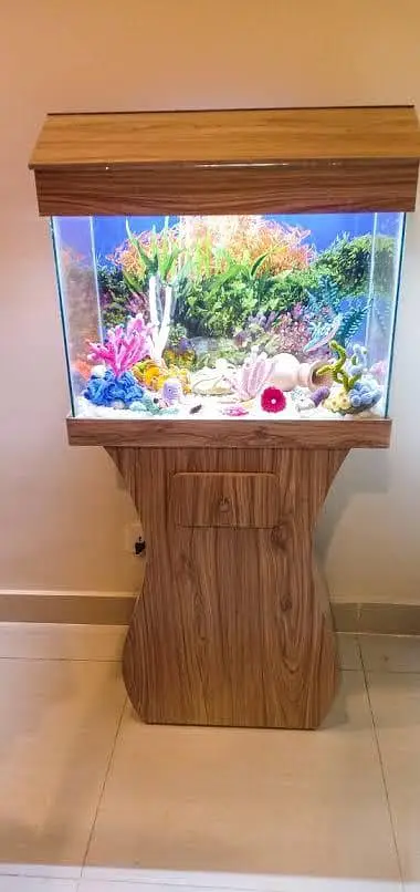 fish and aquarium wholesale price 03268301979 — photo 6