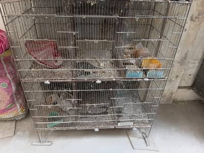 12 portion cage, birds breeding matki
