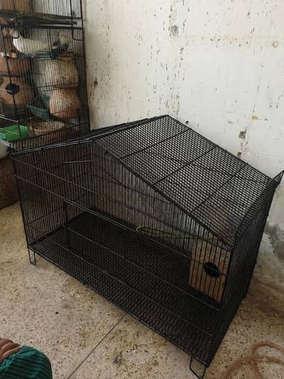 Pinjra, big cage for birds/ parrots