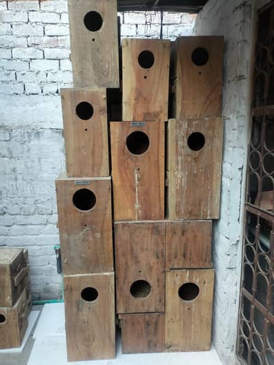 Cage Faram & box 4 sale