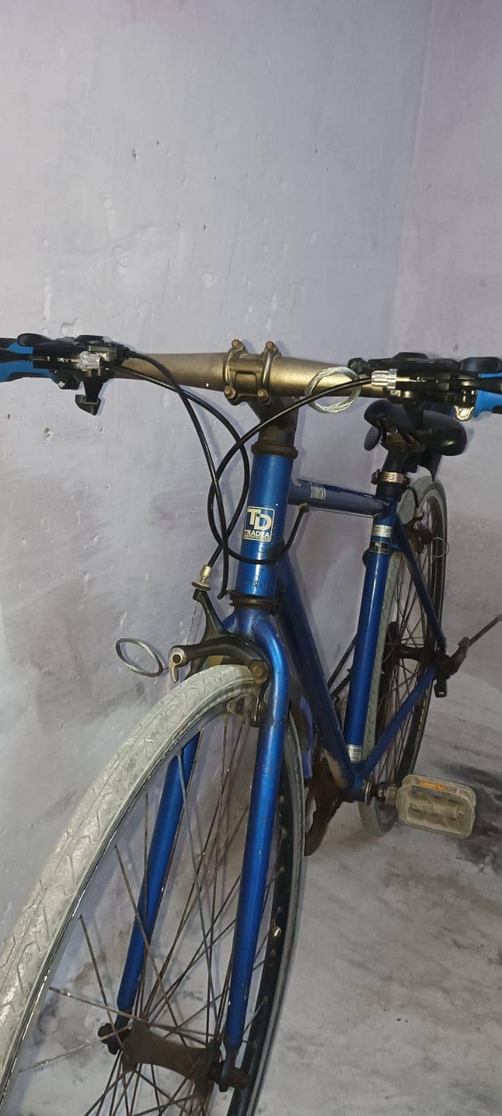 Cycle Tradea 0