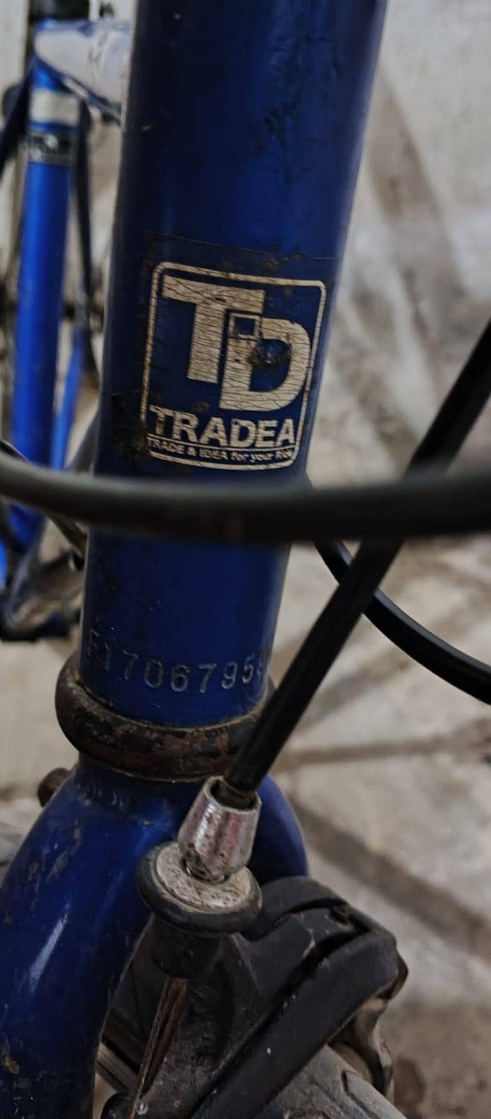 Cycle Tradea 4