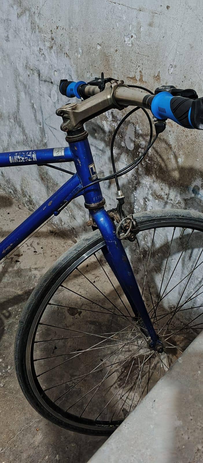Cycle Tradea 5