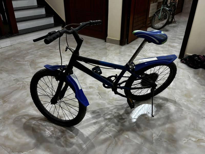 Bicycle 1