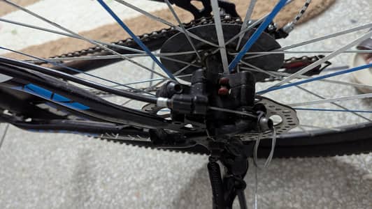 falcon new cycle