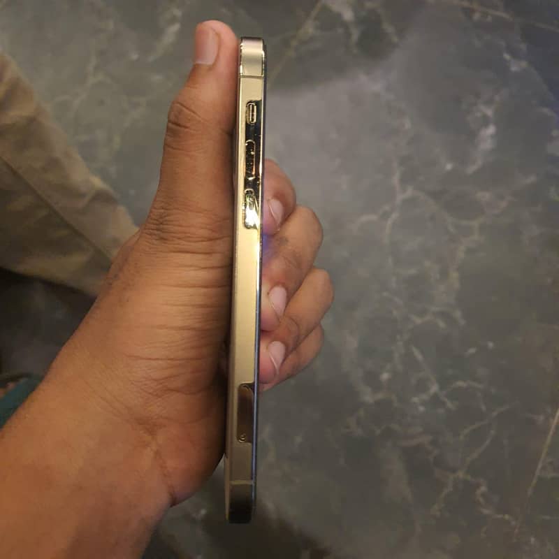 Apple iPhone 12 Pro 4
