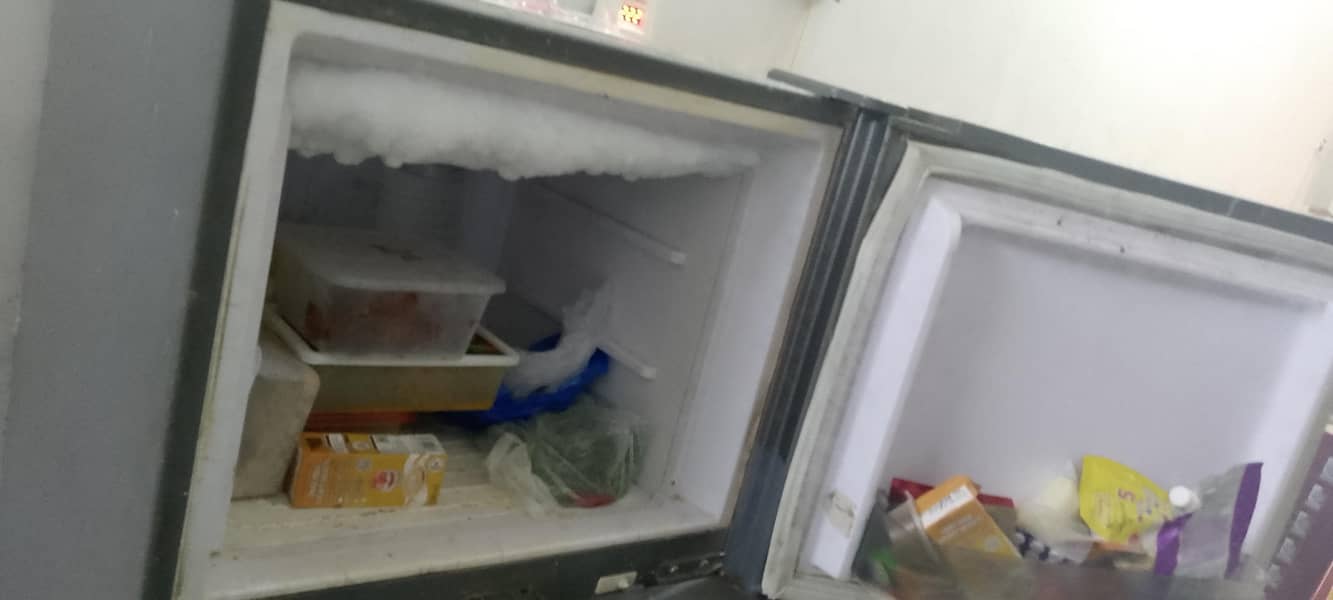 Waves Refrigerator 1