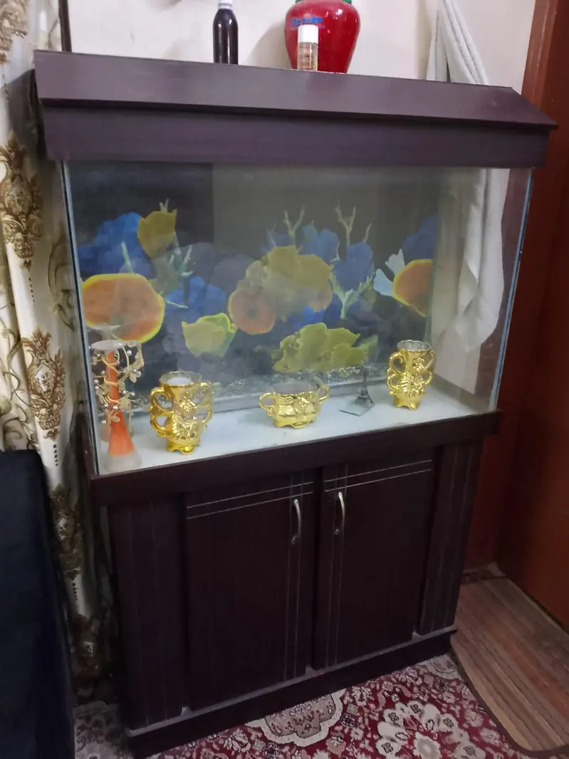 Aquarium without Fishes — photo 2