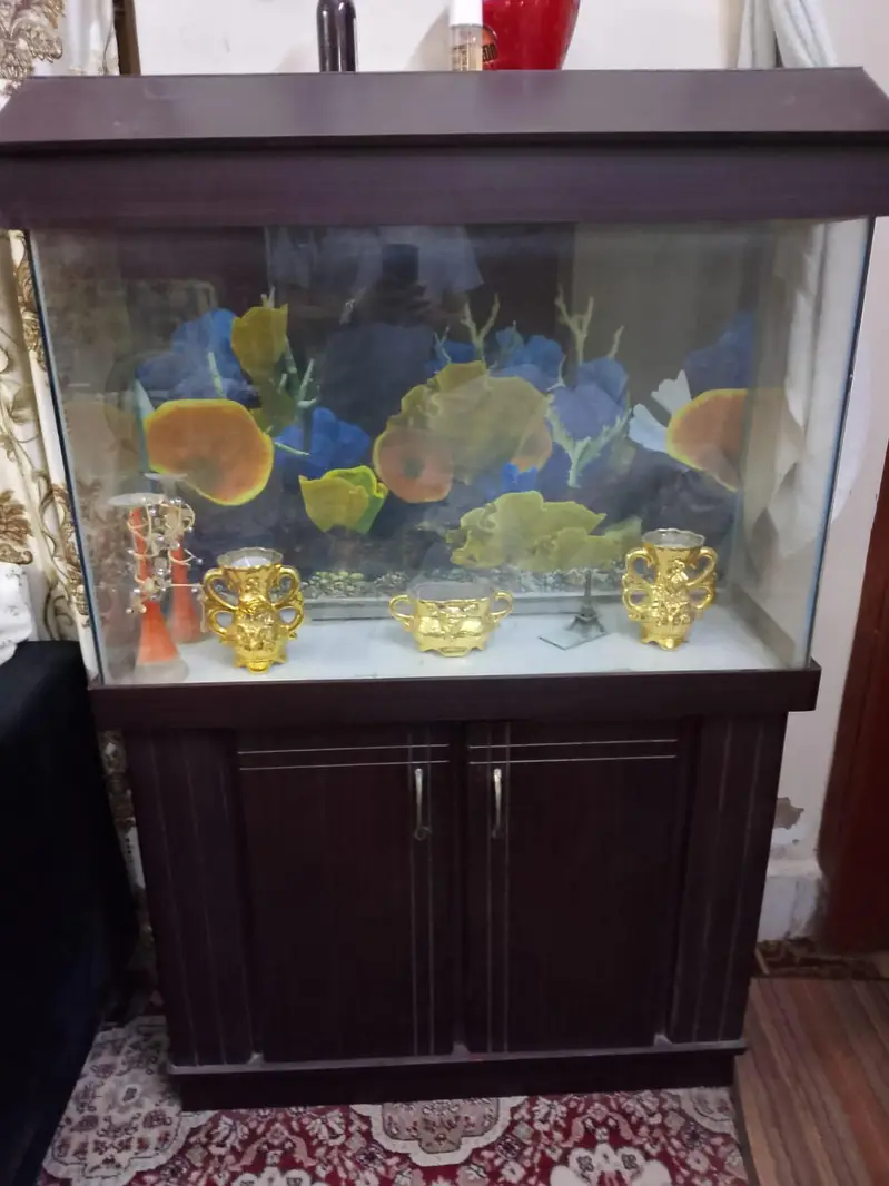 Aquarium without Fishes — photo 3