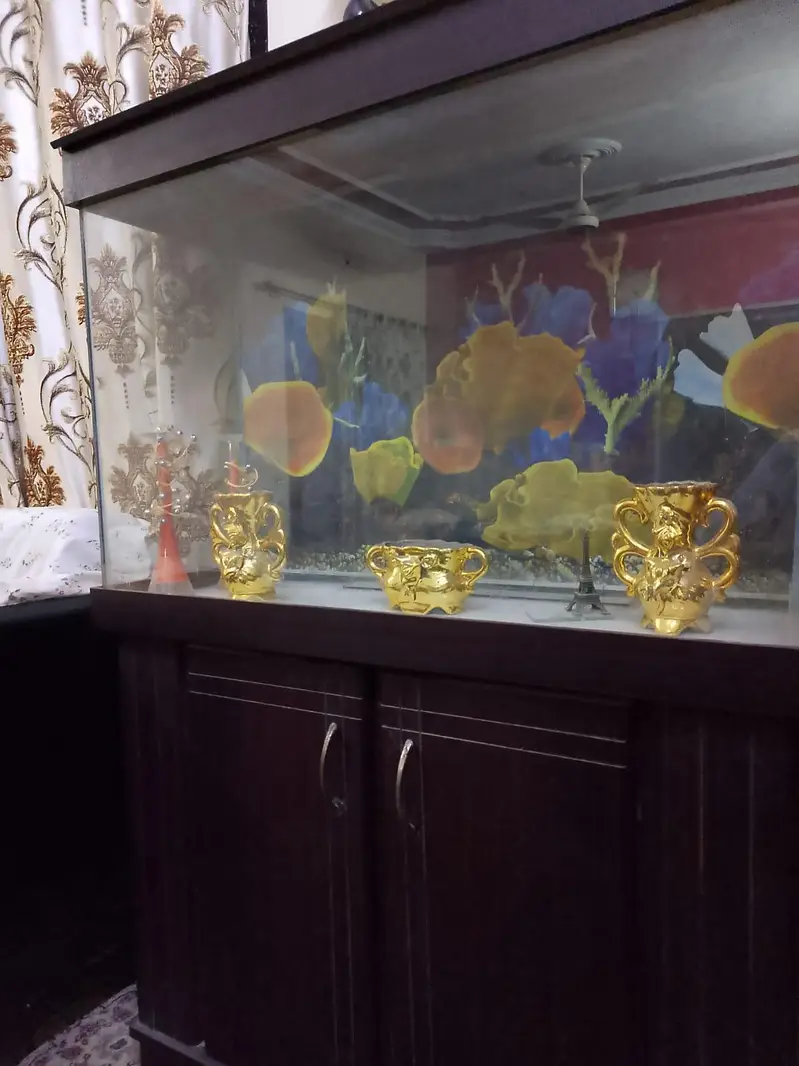 Aquarium without Fishes — photo 4