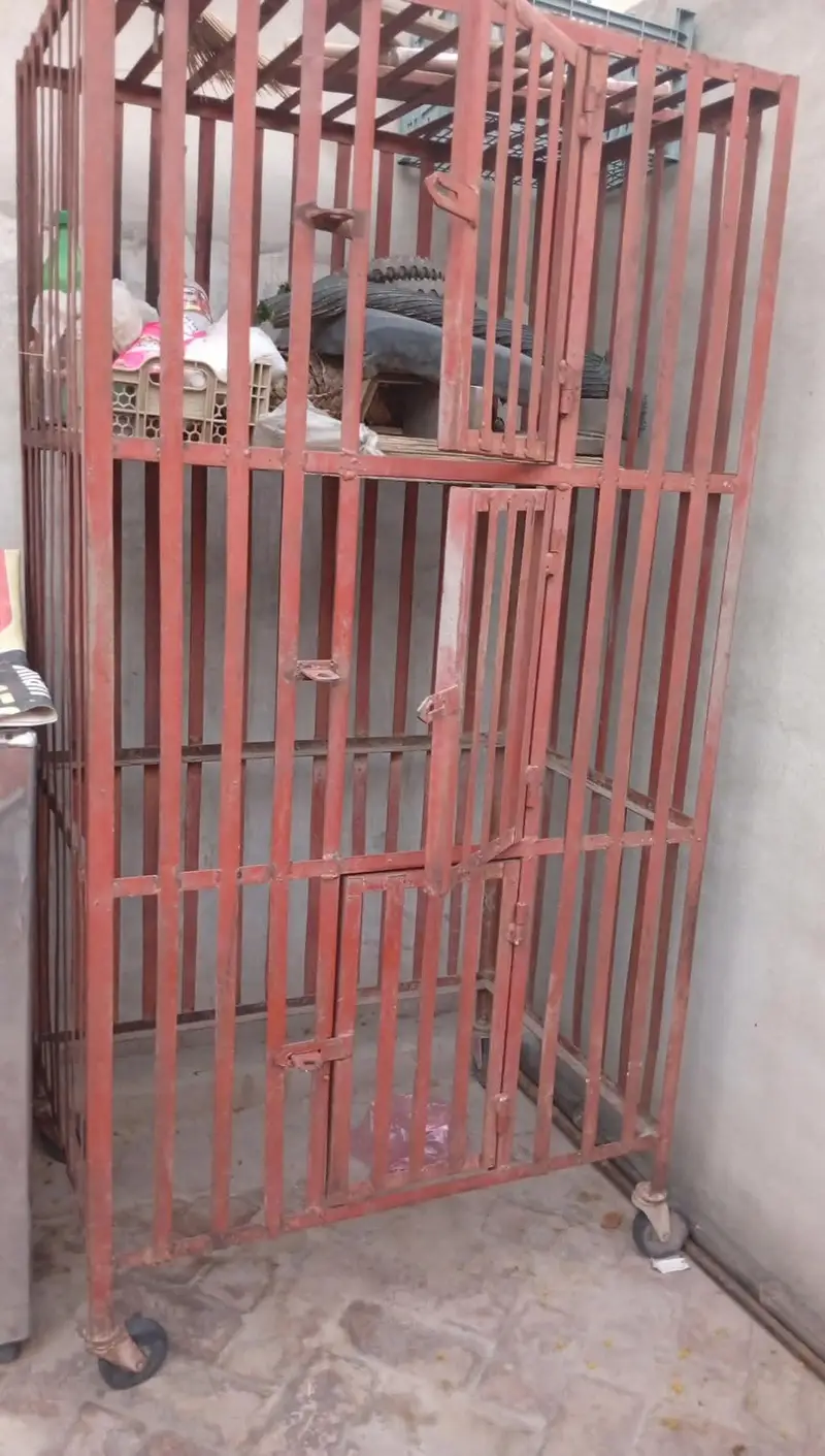 murgi wala pinjra — photo 2