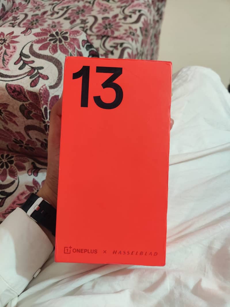 One Plus 13 6
