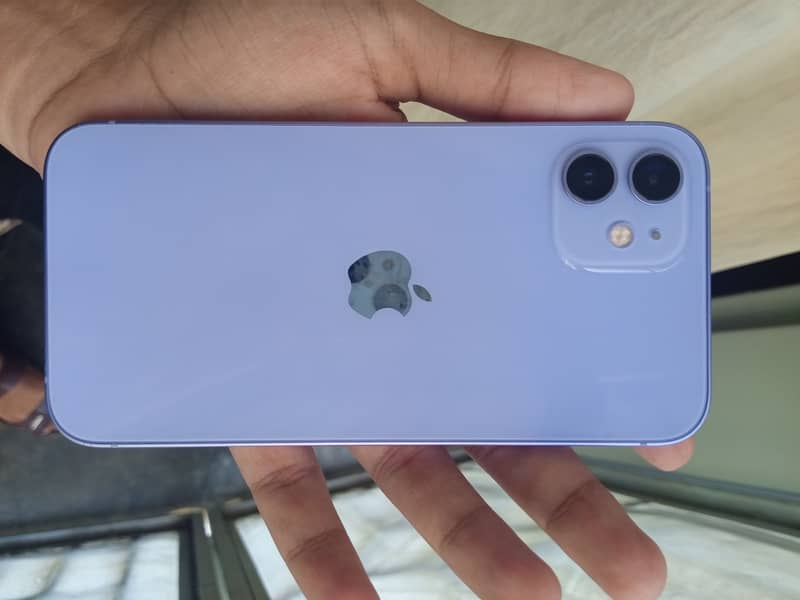Apple iPhone 12 1