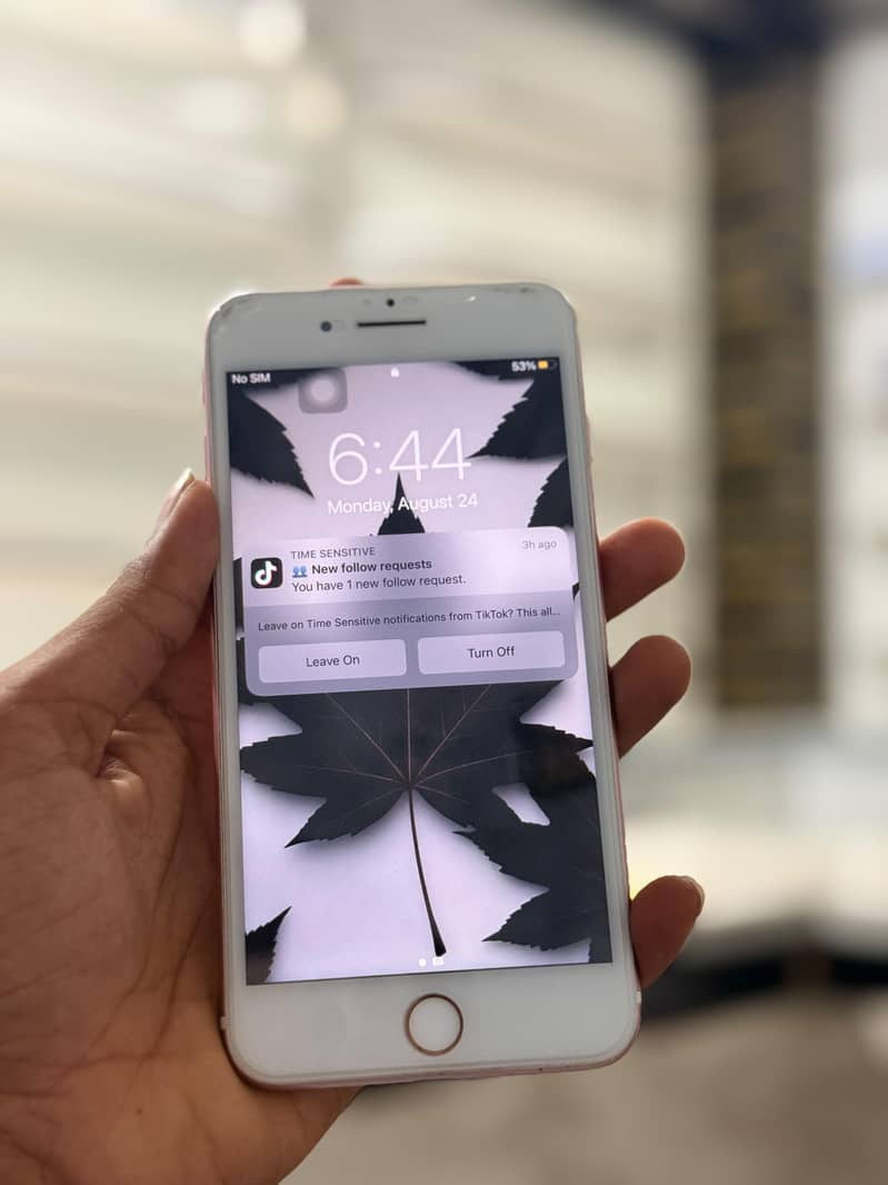 Apple iPhone 7 Plus 6