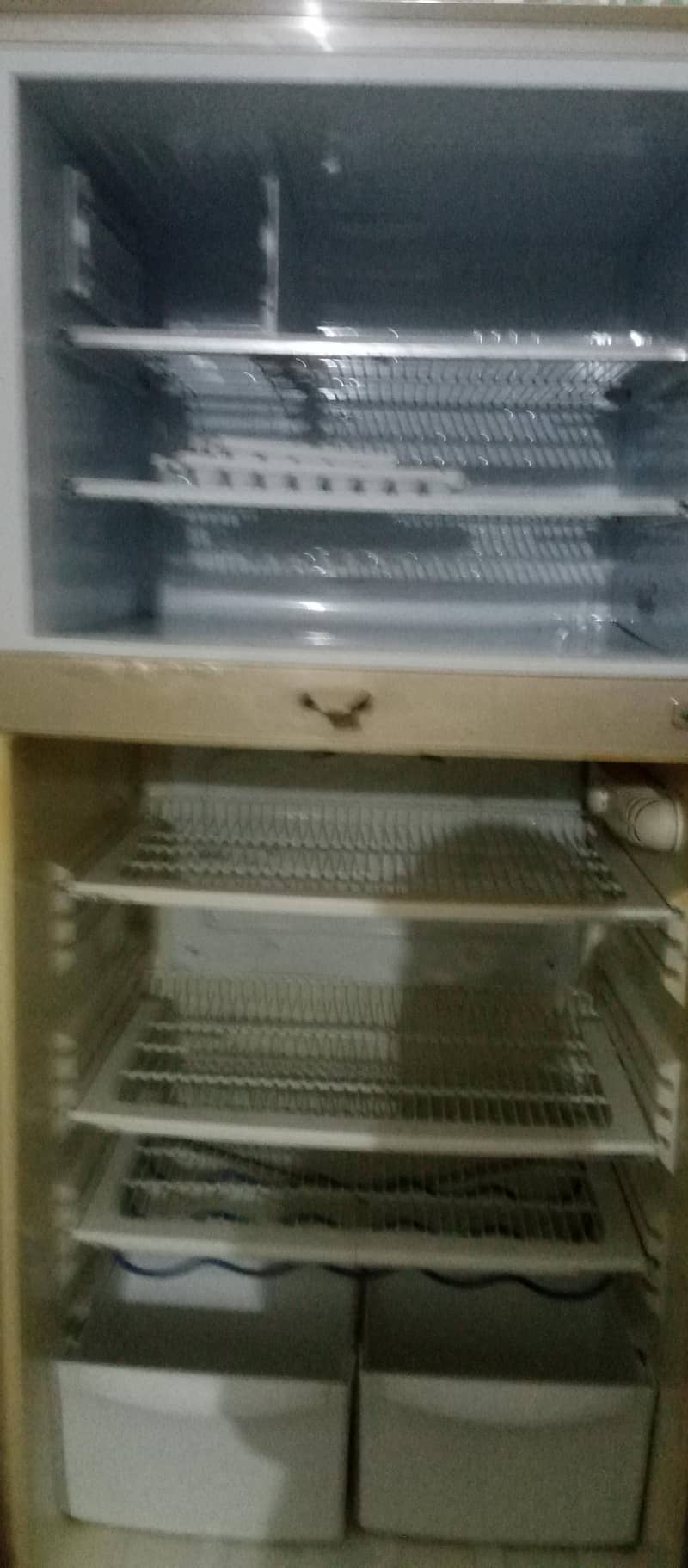 fridge 1