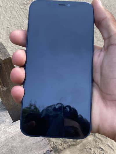 Apple iPhone 12
