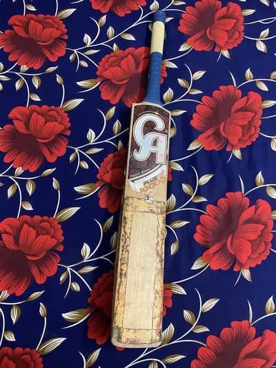 CA Plus 10,000 English Willow Cricket Bat – Excellent Condition