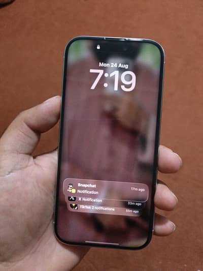 Apple iPhone 16 Pro