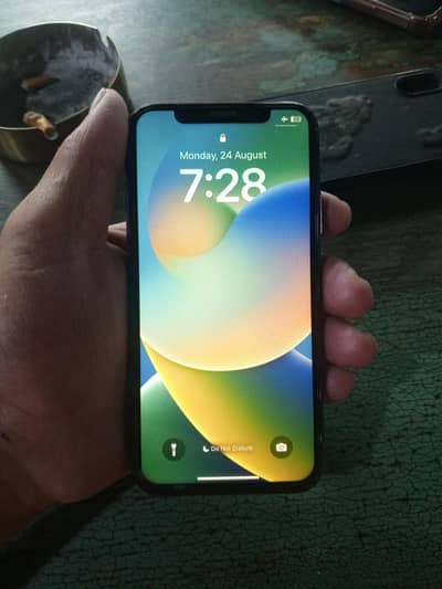 Apple iPhone X