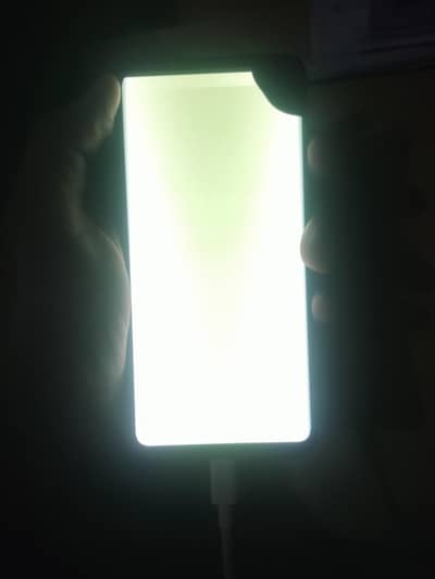 Samsung S10 panel not working, back crack