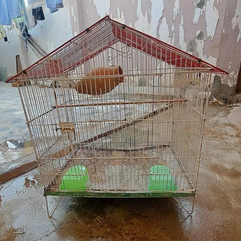 Cage for Parrot's 0332-9939958