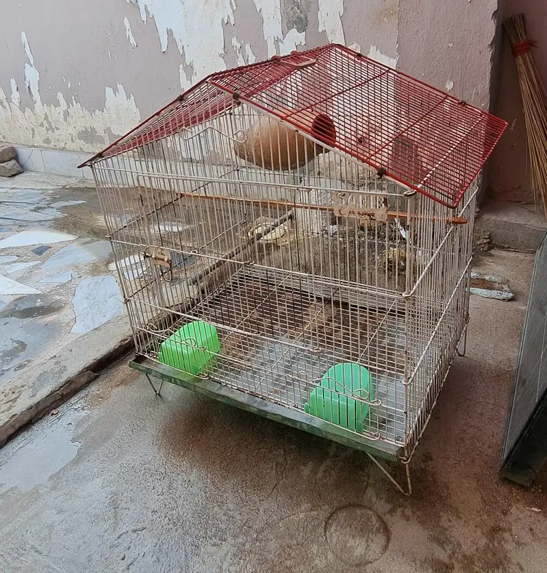 Cage for Parrot's 0332-9939958 — photo 2