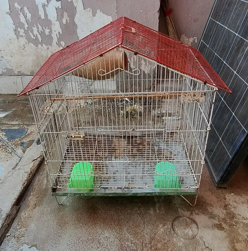 Cage for Parrot's 0332-9939958 — photo 3
