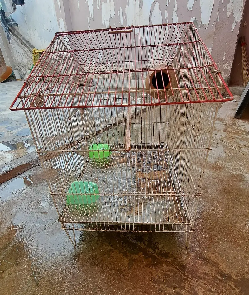 Cage for Parrot's 0332-9939958 — photo 5