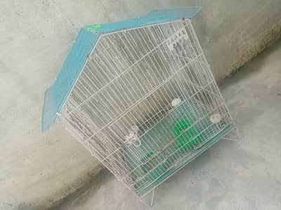 bird cage for sale