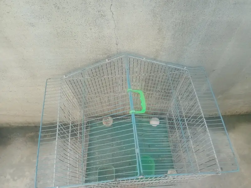bird cage for sale — photo 3