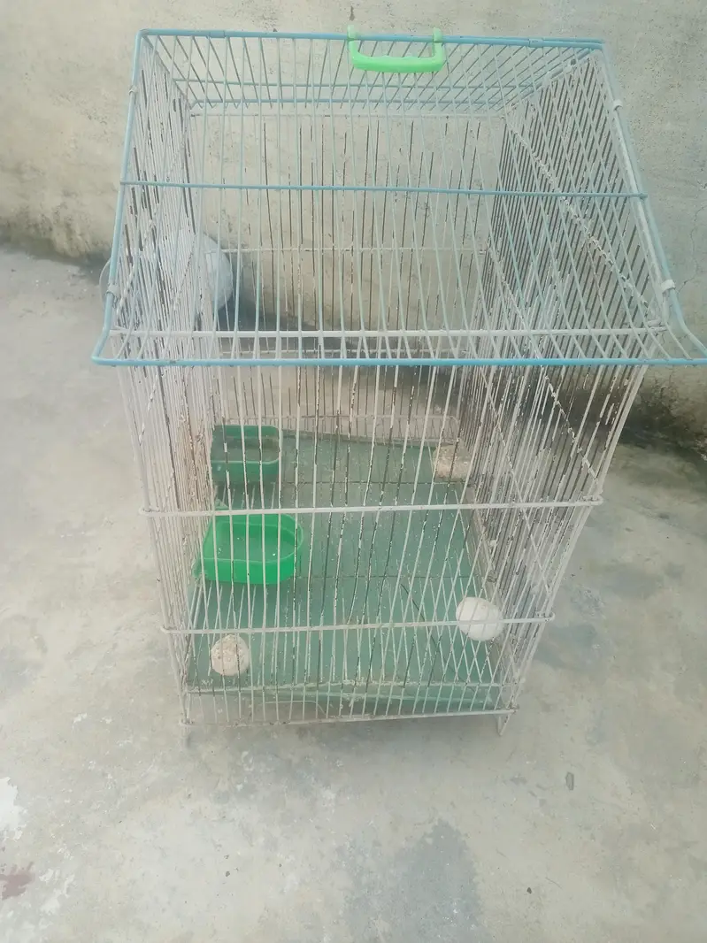 bird cage for sale — photo 4