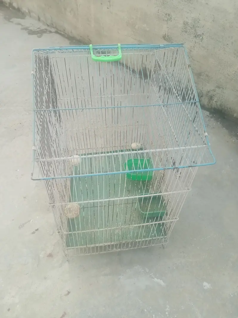 bird cage for sale — photo 5