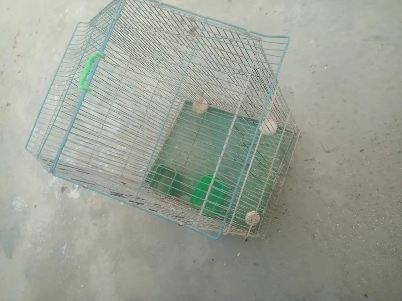 bird cage for sale — photo 6
