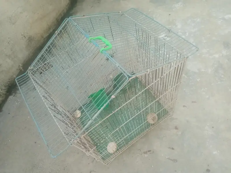 bird cage for sale — photo 7
