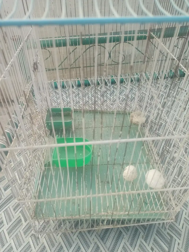 bird cage for sale — photo 9
