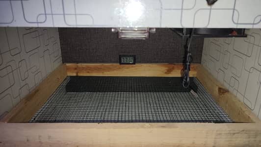 Incubator fresh condition 50 eggs capacity