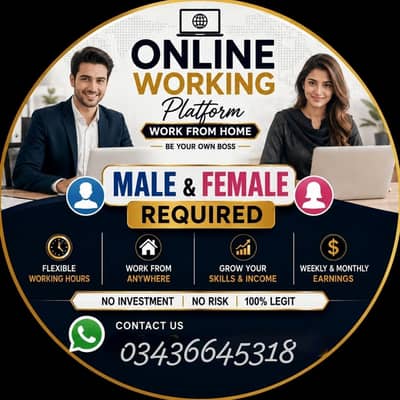 online work from home