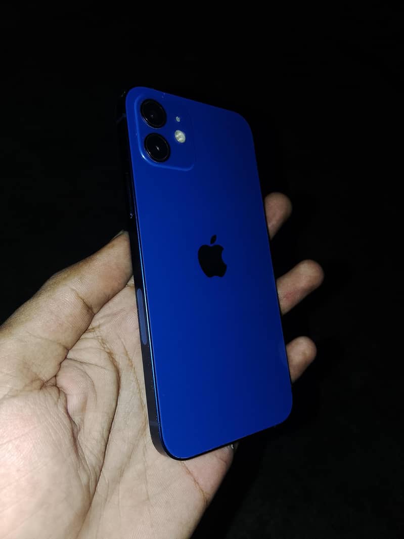 Apple iPhone 12 0