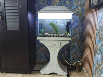 Fish Aquarium Size 2 feet